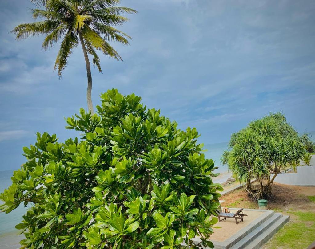 Sevenra Grand Beach Hotel Ambalangoda  Luaran gambar